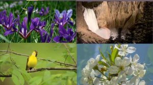 Краски  - весна (песня про весну