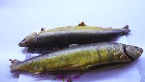 Рыба Горячего Копчения Рецепт Вкусно и Просто Огонь .