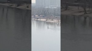 на Дону новигация