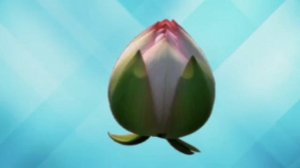 История оформление документов ТНТ Music 2019-2022