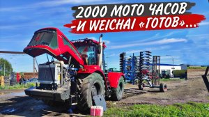 Как мы РАПС в поле до вечера "СУШИЛИ" вместо уборки. Порог уборки теперь, 11% влажности и не выше.