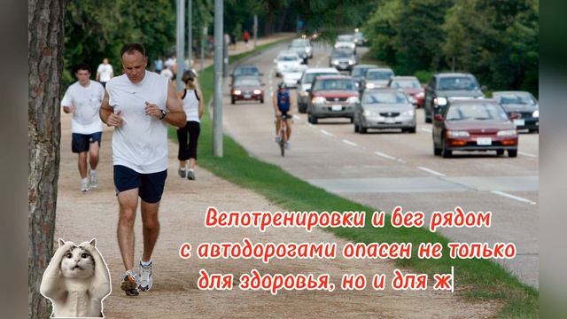 Возле автодорог