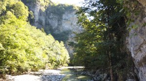 Тисо самшитовая роща. Каньон реки Хоста.