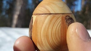 Шкатулка в мартовском лесу на сосновой развилке