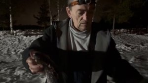 Ночь поимкам не помеха