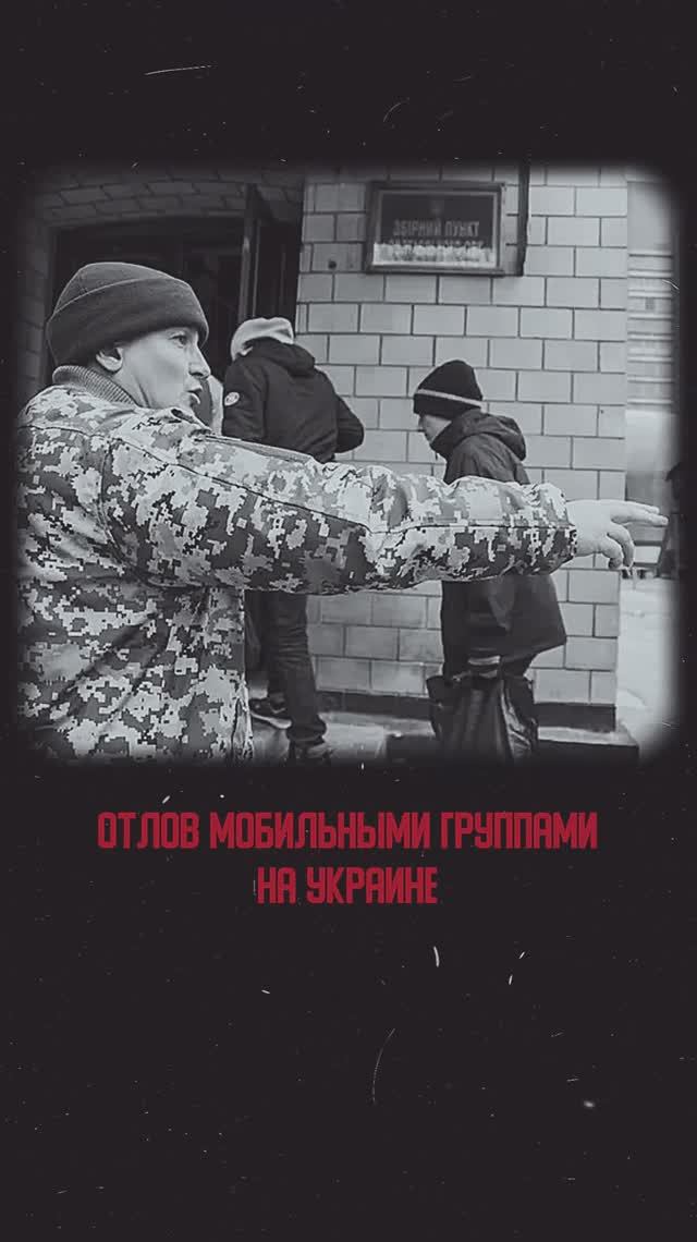 Отлов мобильными группами на Украине