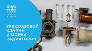 Зачем Land Rover Discovery приехал из Москвы в Санкт-Петербург?