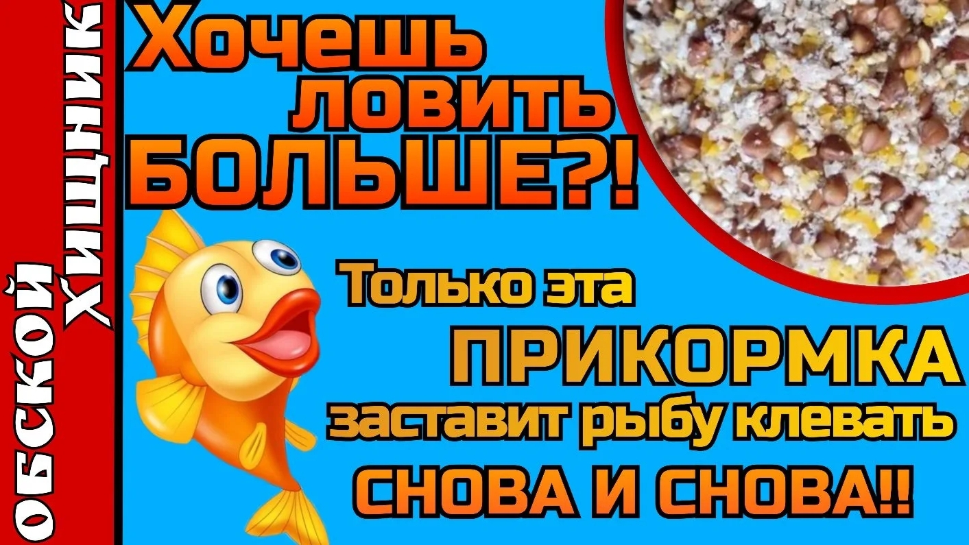 Прикормка которая увеличит ваш улов в ХХХХХ раз!!!)