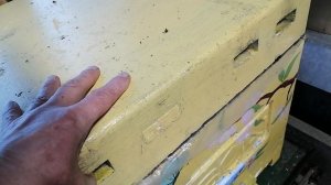 весна пришла- весне дорогу