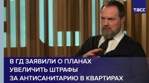 В ГД заявили о планах увеличить штрафы за антисанитарию в квартирах