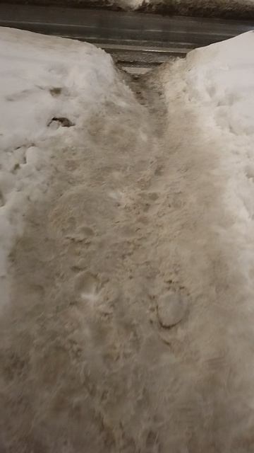 №1680 ул. Белинского. 12 марта 2026 г., 21:12:01 VID_20260312_211051999