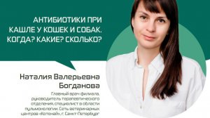 Наталия Богданова — Антибиотики при кашле у кошек и собак. Когда? Какие? Сколько?
