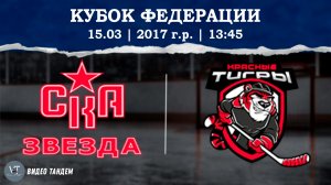 СКА Звезда 17 - Красные Тигры 17 / 15.03.2026