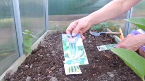 Весь май 2019 года в одном видео.