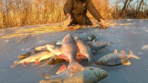 КРУПНАЯ КРАСНОПЁРКА КОСЯКАМИ КРУЖИТСЯ В ЭТОЙ ЯМЕ!