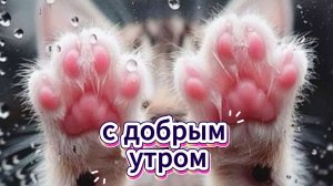 Доброе утро! Красивое видео пожелание с добрым утром!