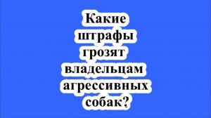 Какие штрафы грозят владельцам агрессивных собак?