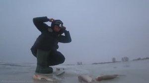 БОРА - МОНСТР, ЧЕРПАЮ НА ВСЕХ КРЮЧКАХ. КРУПНАЯ ГУСТЕРА НОЧЬЮ