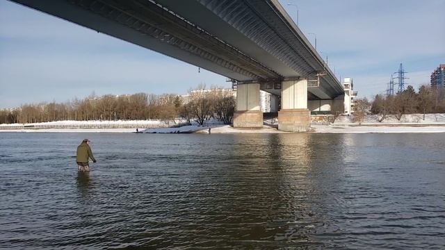 Нахлыст. Двуручник. Тренировки на Москва-реке. Навыки отрабатываются и закрепляются круглый год.