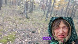 ОСТАНЕТСЯ ТОЛЬКО ТАЙГА! Сибирская провидица предсказала исчезновение этих областей к 2026 году