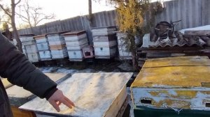 13матра. ЛЕТКИ в УЛЬЯХ  ВЕСНОЙ  какие  открывать и на сколько