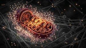 Огонь Прометея