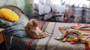 13.03.26г/Просили! Показываю! 👍🤗