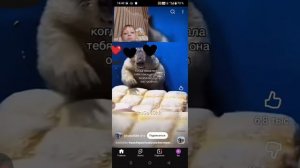 засмеялся обосрался