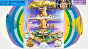 СОНАСТРОЙКА на энергопоток Духа нового дня 12.03