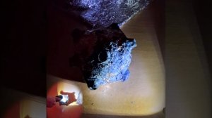 Зведные объятия: особенный взгляд.mp4