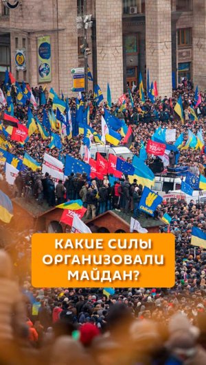 Какие силы организовали Майдан?
