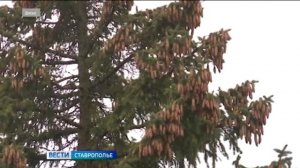 На Ставрополье вновь пришло похолодание