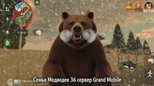 Я выбираю горы холодного севера!🔶Медведев!