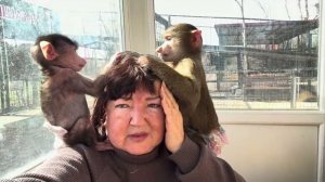 Я уже не дождусь когда прийдет Влад, Анфиса с Николь достали меня своими криками и царапушками❤️