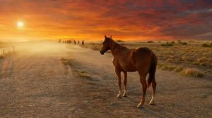 Я как конь на водопое