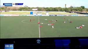 Обманный маневр: футболисты притворились мертвыми, спасаясь от пчел в Панаме.