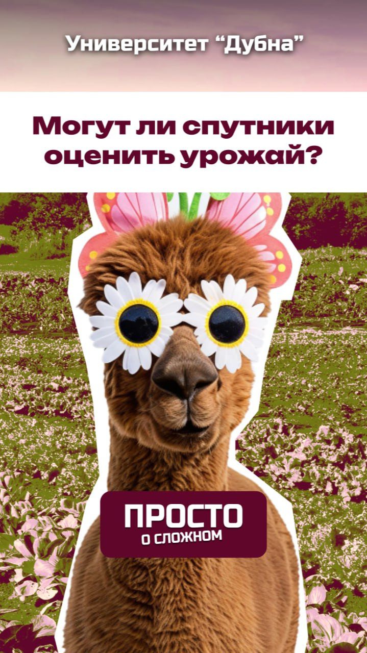 Правда ли что по спутниковым снимкам можно оценить урожай?