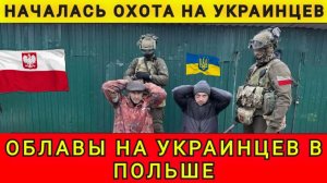 Начались облавы на Украинцев в Польше. Колобок из Одессы