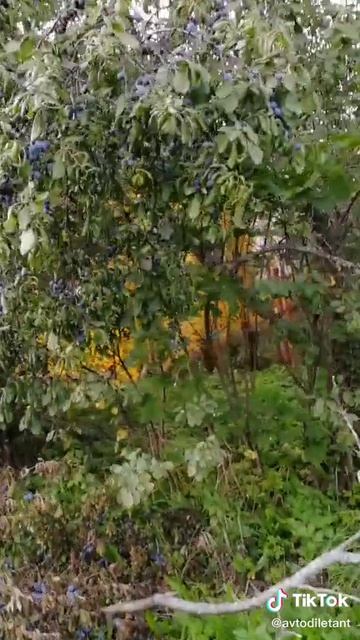 Деревенская атмосфера.