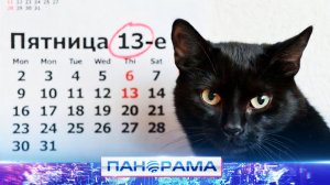 🐈⬛ Пятница 13-е: чёрные кошки, приметы и обереги от неудач. А вы верите?