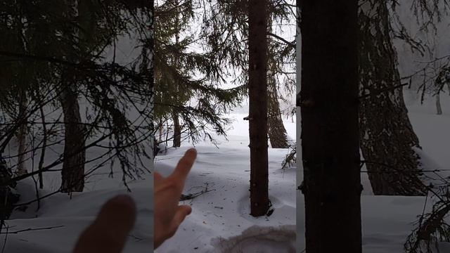 Таква и таваккуль #таква #таваккуль #Бог #God #video #видео