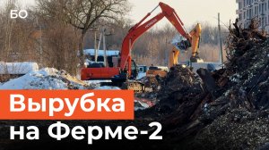 Почему вырубают вековые деревья в зоне объектов культурного наследия в Казани?