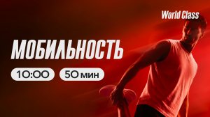 МОБИЛЬНОСТЬ с Дарьей Уткиной | 15 марта 2026 | Онлайн-тренировки World Class