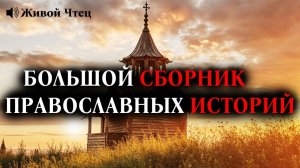ИСТОРИИ КОТОРЫЕ ГРЕЮТ ДУШУ... БОЛЬШОЙ СБОРНИК ЛУЧШИХ ПРАВОСЛАВНЫХ ИСТОРИЙ,Тёплые рассказы на сон