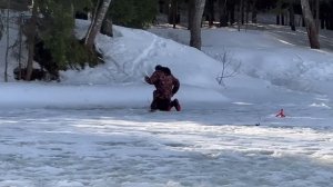 Поимка и сход форели