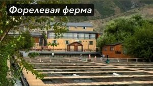 Экотуркомплекс «Главрыба». Форелевая ферма Дагестан.