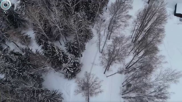 Двадцатая Академпиада 2026. Сюжет ОТС 11.03.2026 смотреть онлайн