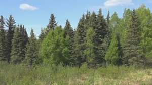 Незримый урожай