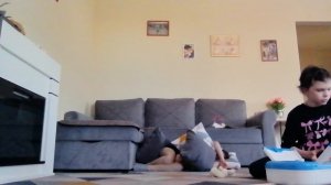 VID_20260313_173509.mp4