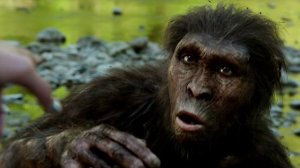 В знаниях о мире